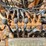 ingersoll-rand-1000-image-35
