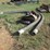 #2075-•-suction-&-discharge-hose-inv#-29886-image-1