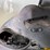new-holland-tn60da-image-26