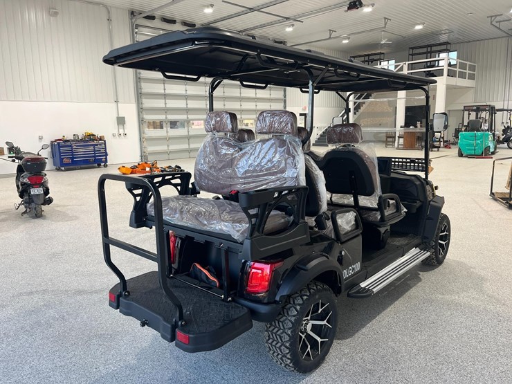 sdlgc100-golf-cart-image-3