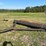#135-•-lot-with-pull-behind-roller-bar-image-4