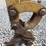 caterpillar-301.7d-cr-image-20