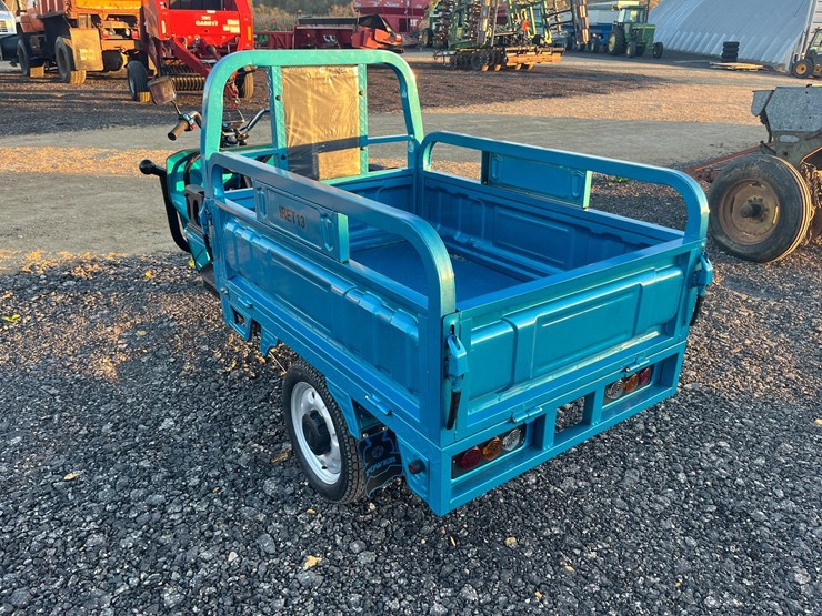iret13-trike-w/bed-image-3