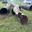 #206-•-misc-lot-of-3-pipes-image-4