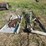 #137-•-misc-lot-of-assorted-items-image-2