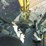 2002-caterpillar-430d-it-image-31