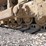caterpillar-d6c-image-10
