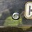 caterpillar-259d3-image-16