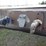 52'-4-axle-flatbed-trailer-image-8