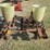 #2017-•-2-row-planter-inv#-29998-image-8