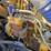 2007-peterbilt-379-image-25