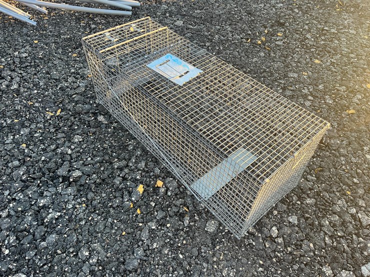 live-trap-image-2