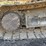 caterpillar-317-image-23