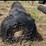#174-•-1-roll-of-felt-image-1