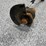 worx-edger-image-3