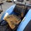 landini-6560f-image-17