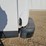 2010-cargo-express-image-34