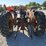 massey-ferguson-165-image-8