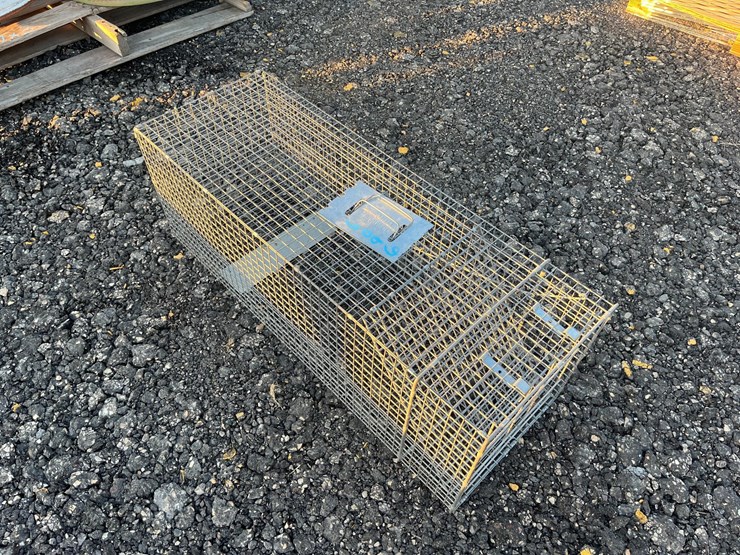 live-trap-image-1