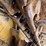caterpillar-935b-image-15