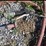 #144-•-misc-lot-with-hose-and-nozzle-image-3