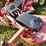 lastec-721xr-image-6