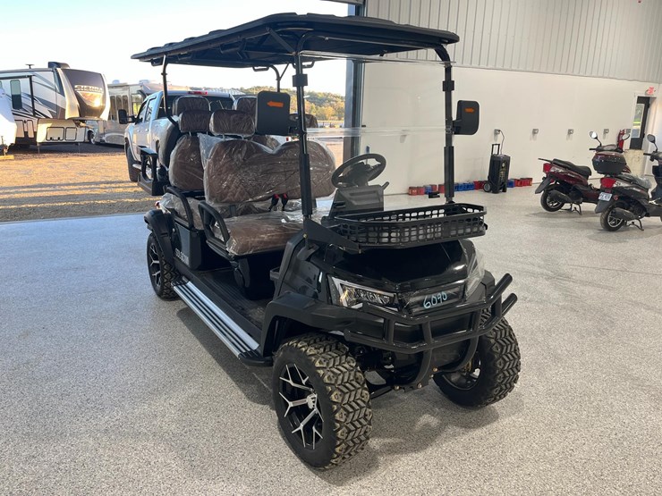 sdlgc100-golf-cart-image-4