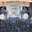 2009-international-5900i-17'-3-axle-dump-truck-image-14
