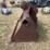 #204-•-4ft-clean-out-bucket-image-2
