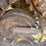 2018-caterpillar-d6n-xl-image-82