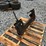 bobcat-skid-steer-quick-attach-plate-image-1