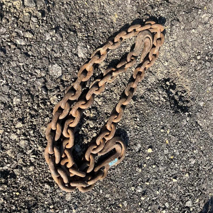 Heavy Chain