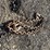 heavy-chain-image-3