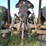 massey-ferguson-231-image-5