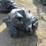#2022-•-lot-of-(3)-bags-duck-decoys-inv#-29904-image-2