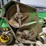1963-john-deere-1600-ii-image-15