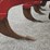case-ih-14-image-6