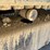 caterpillar-305e-cr-image-23