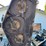 land-pride-16'-finish-mower-image-16