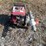 #145-•-79cc-predator-engine-with-pump-image-1