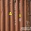 40'-container-image-16