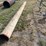 #165-•-lot-of-1-pipe-image-1