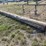 #165-•-lot-of-1-pipe-image-2