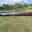 #206-•-misc-lot-of-3-pipes-image-6