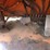 lull-644tt-34-telescopic-reach-lift-image-28