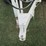 #56-•-adams-fertilizer-buggy-inv-#-29550-image-18