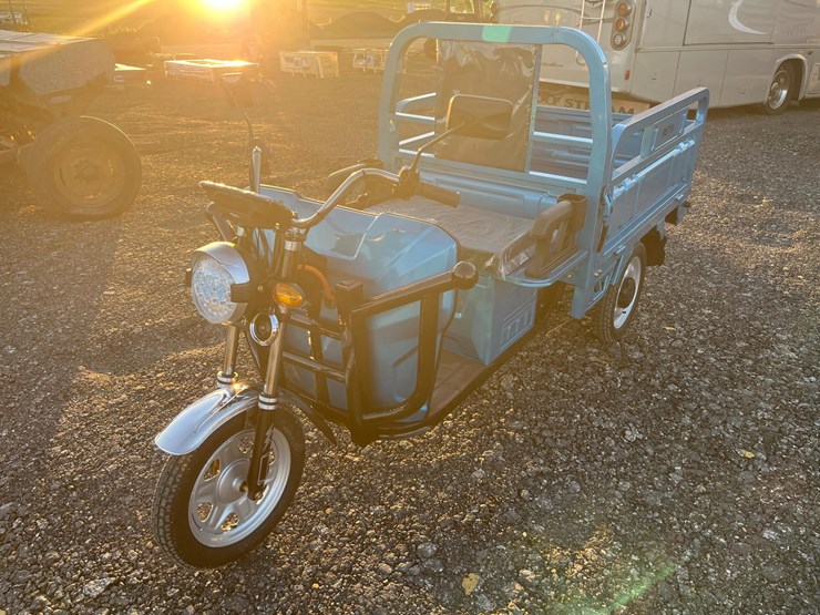 iret13-trike-w/bed-image-2