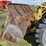 caterpillar-966-image-8