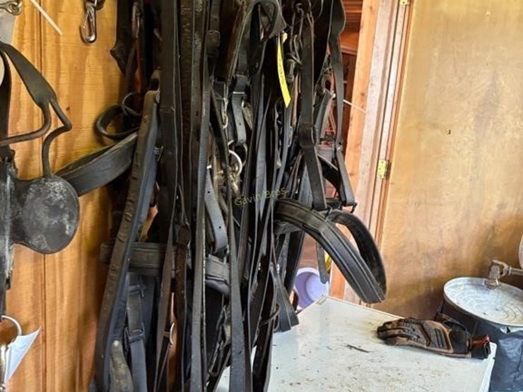 heavy-harness-for-1000lb-pair-image-2