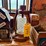 bird-feeder/house,-crock-pot,-box-etc-image-2